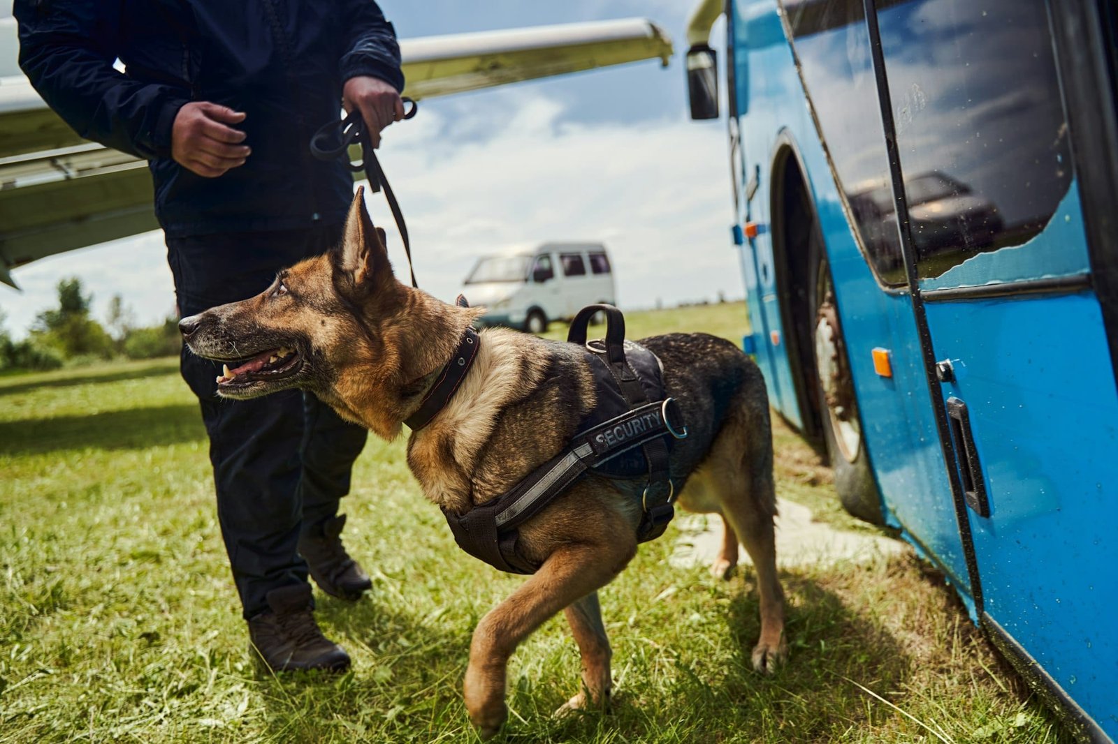 Security officer and dog inspecting territory of aerodrome